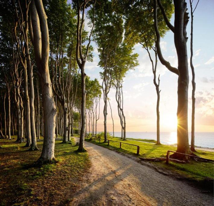 Pension Ostsee-Strand Börgerende-Rethwisch Dış mekan fotoğraf